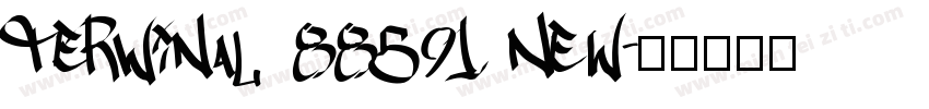 TerWinal 88591 New字体转换